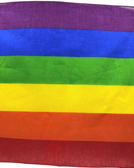 PRIDE - PAÑUELO LGBT 50 X 50