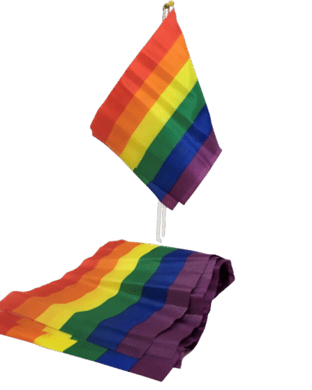 PRIDE - BANDERIN PEQUEÑO BANDERA LGBT